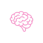 brain
